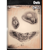 Wiser Owls